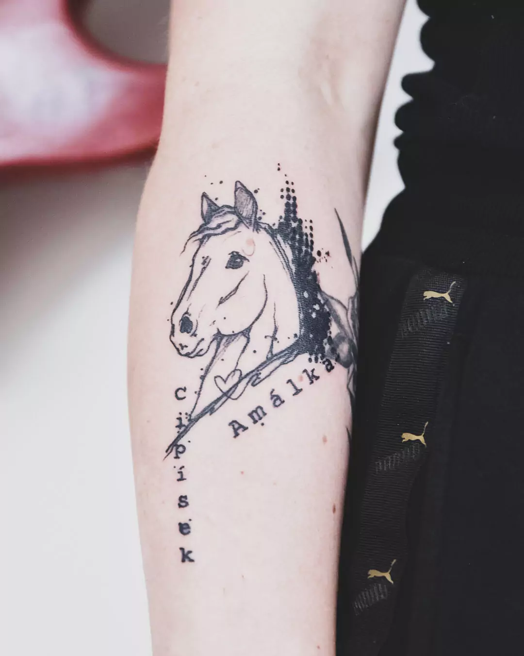 horse tattoo