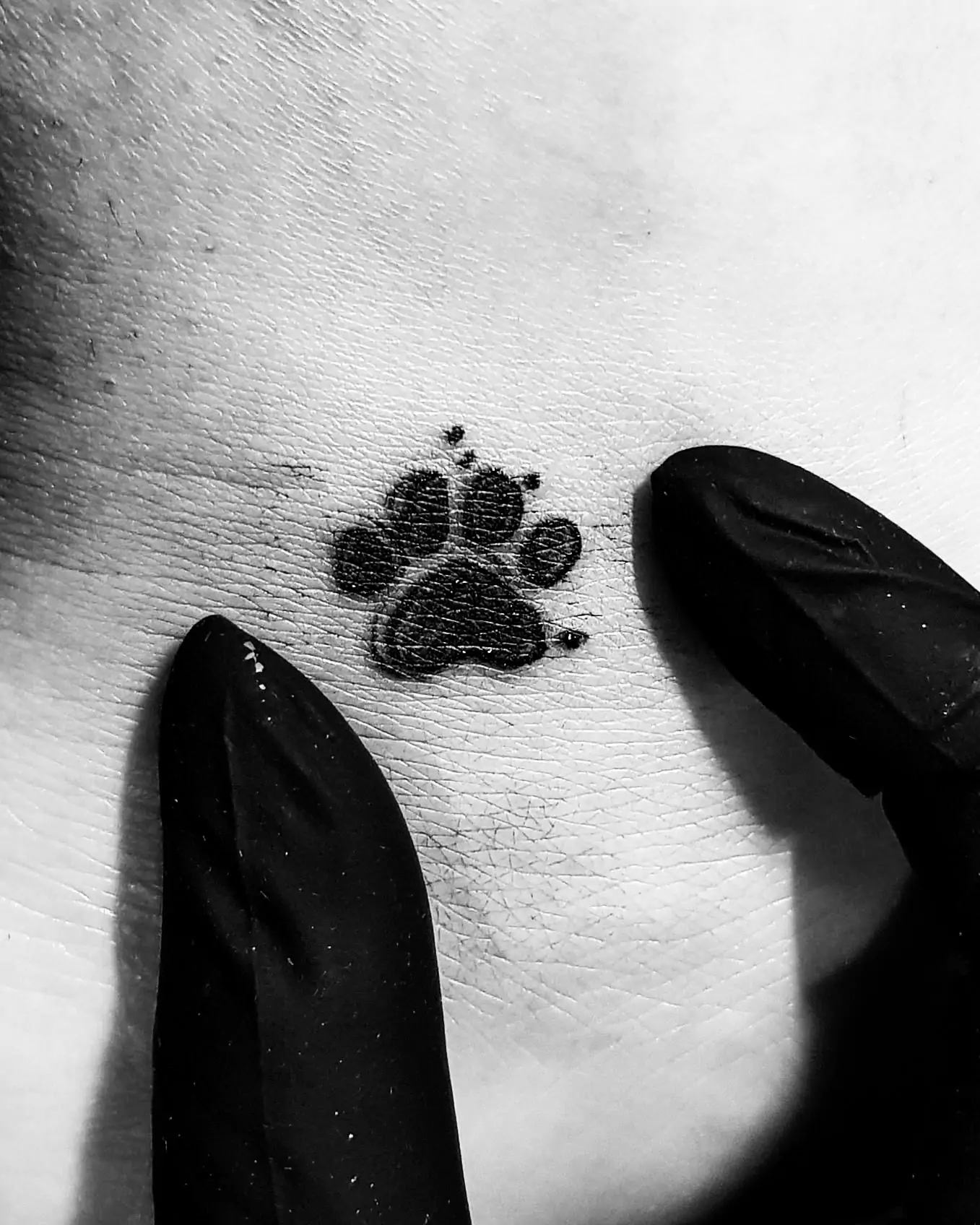 mini paw print tattoo