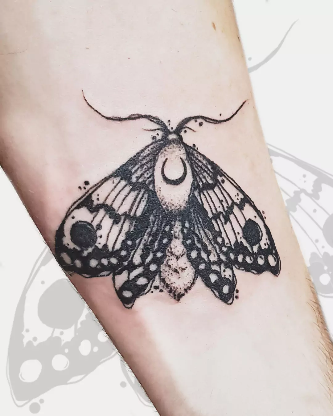 moth tattoo